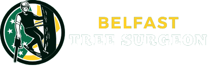 Belfast Tree Surgeon Logo