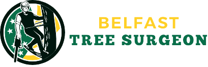 Tree Surgeon Belfast Logo