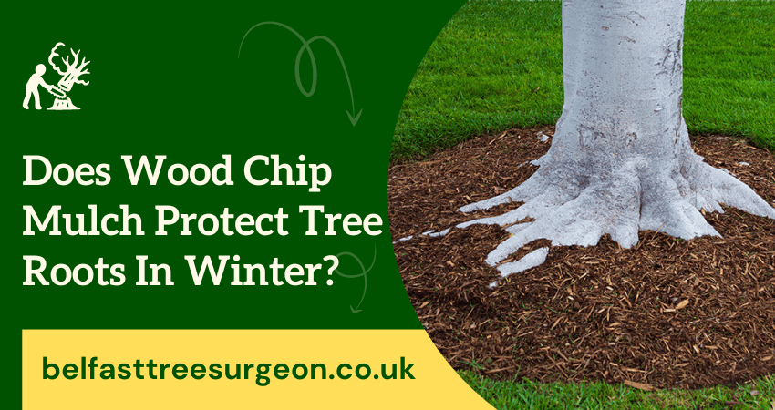 Wood Chip Mulch Protect Tree Roots